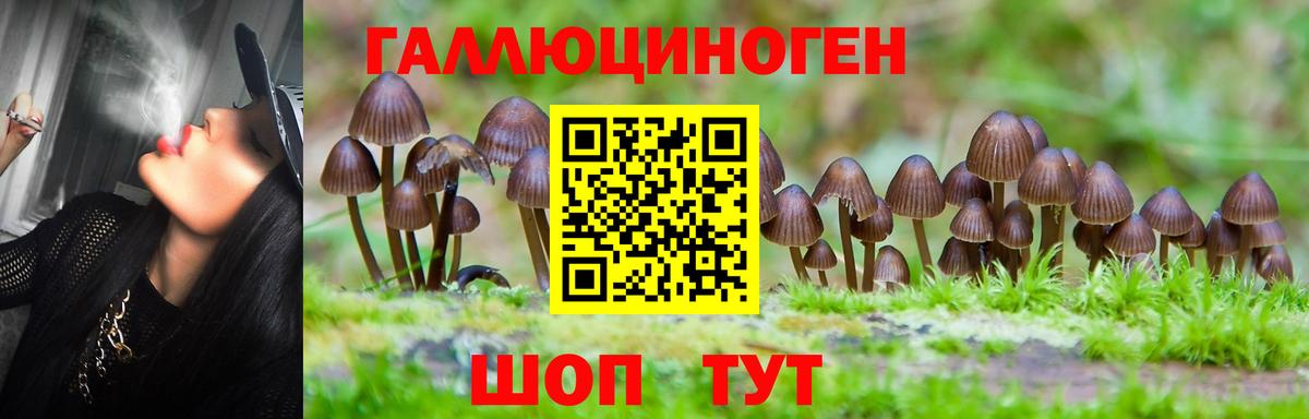 Лысьва  Галлюциногенные грибы GOLDEN TEACHER  как найти закладки  Вход с VPN  Галлюциногенные грибы GOLDEN TEACHER 